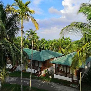 Rainforest Resort